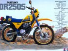 Suzuki DR 250S